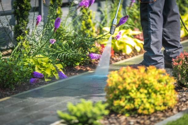 Best Pool Deck Cleaning  in Moonachie, NJ